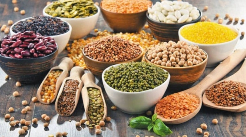 Chế độ dinh dưỡng là yếu tố rất quan trọng trong cách nuôi gà đá bo lớn khoẻ mạnh