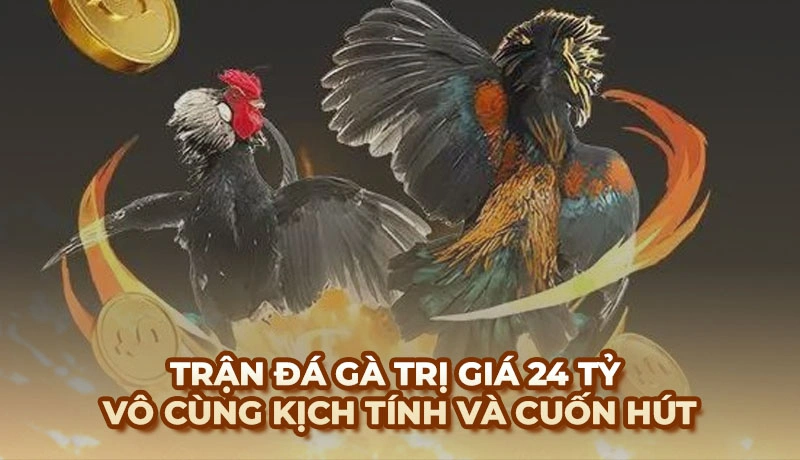 Trận đá gà 24 tỷ vô cùng kịch tính và cuốn hút